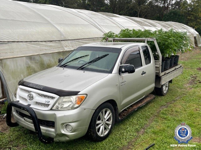 Oh what a feeling: Both men were arrested loading up a Toyota ute with cannabis and were later spared any significant jail time. Picture: NSW Police Force