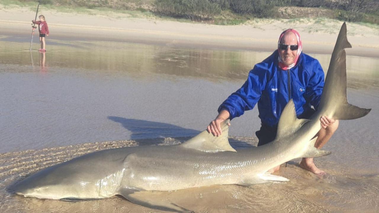 Andre Bester posted this shark capture off K'gari.