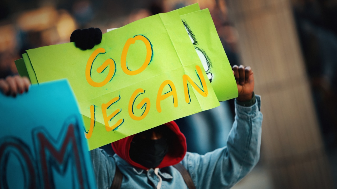 Vegan activist joins Tash Peterson PETA for animal rights protest