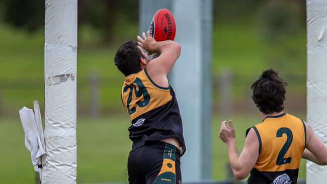 St John's are currently in top spot. Photo: VAFA Media.