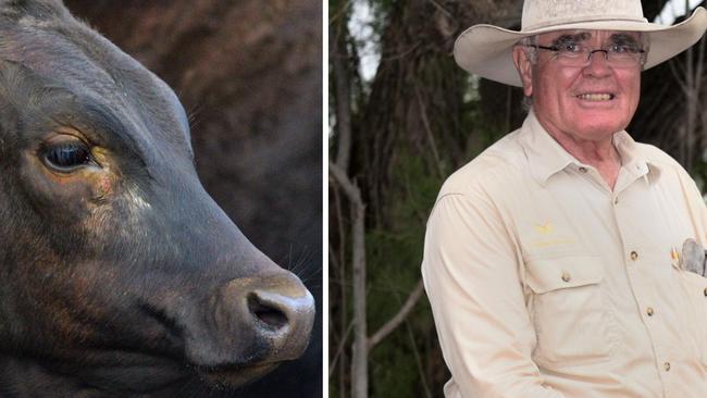 ‘It makes you sick’: Lab grown meat riles Qld wagyu farming greats