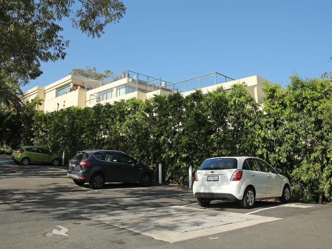 The trees in question. Three nearby residents claimed the trees growth would block sunlight and ruin multimillion-dollar views. Picture: Richard Dobson