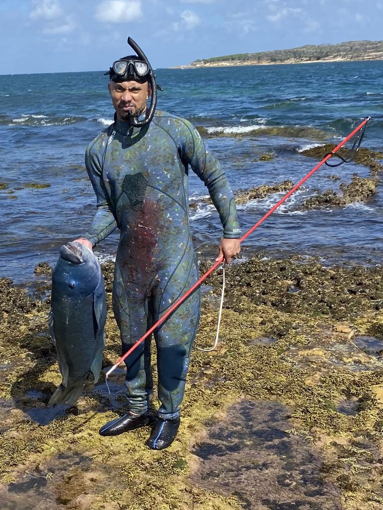 Cronulla locals were outraged after a popular Blue Groper named Gus was killed. Picture: Supplied