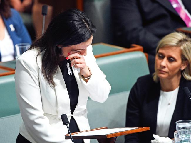 Emma Husar’s emotional speech to Parliament focused on spending “29 years out of my 36 years living with domestic violence”.