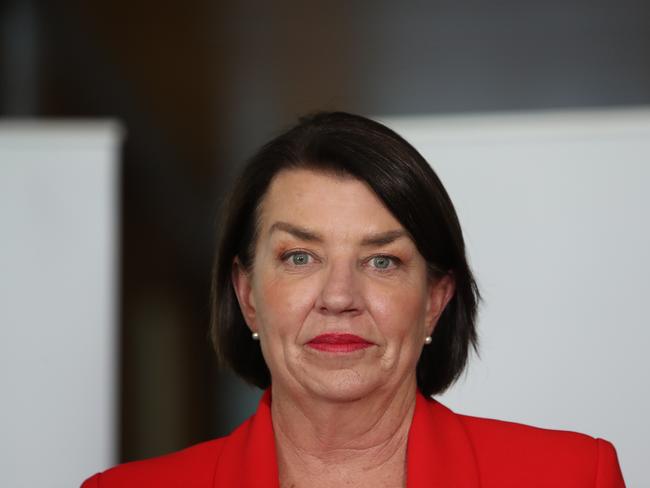 ABA CEO Anna Bligh speaking at a doorstop at Parliament House in Canberra.