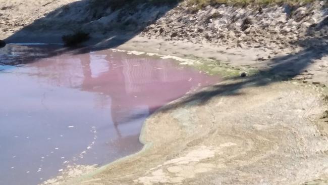 Pink water and green globs on the sand at Rio Barracuda park. Picture: Supplied