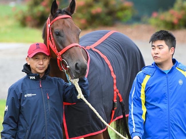 MELBOURNE, AUSTRALIA - OCTOBER 04: Trainer Danny Shum poses with Hong Kong International, Romantic Warrior after a trackwork session at Werribee Racecourse on October 04, 2023 in Melbourne, Australia. (Photo by Vince Caligiuri/Getty Images)