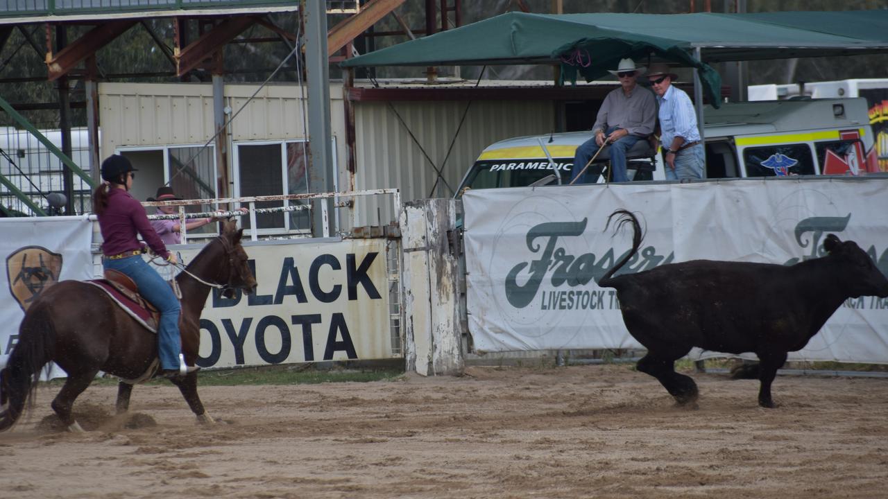 Tori Rafton on Tassas Felice in the Warwick Canning Downs Campdraft.