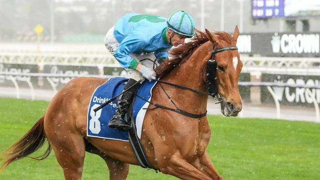 Alsephina on the way to the barriers prior to the running of  the Furphy Let's Elope Stakes at Flemington Racecourse on September 14, 2024 in Flemington, Australia. (Photo by George Sal/Racing Photos via Getty Images)