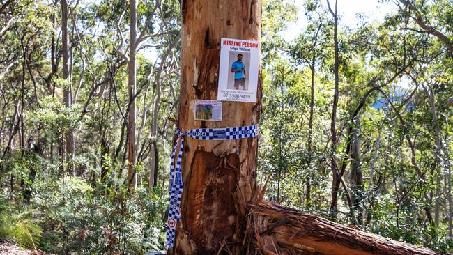 Wilsons Creek. Picture: NewsWire/Natalie Grono