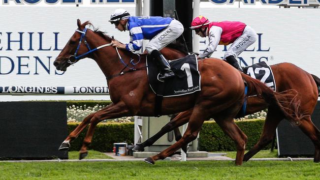 Star South Australian galloper Gytrash returns for a second shot at the TAB Everest and will again be partnered by Jason Collett. Picture: Getty Images