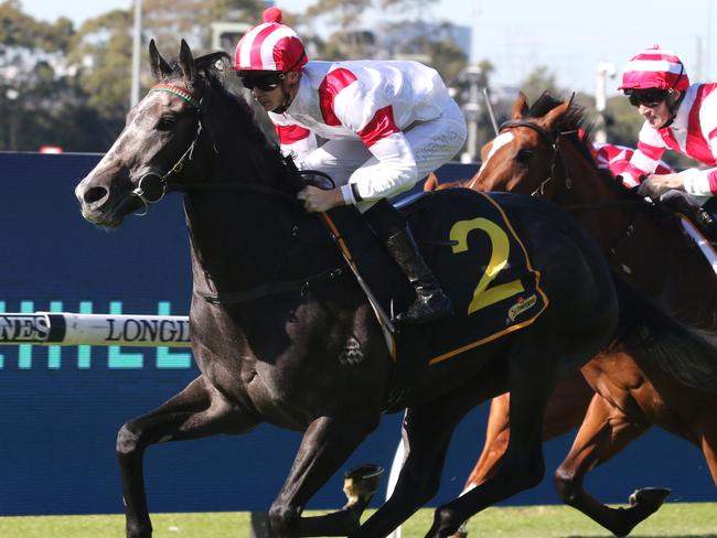 The promising Celestial Legend can give trainer Les Bridge a second win in the Group 2 Hobartville Stakes at Rosehill on Saturday. Picture: Grant Guy