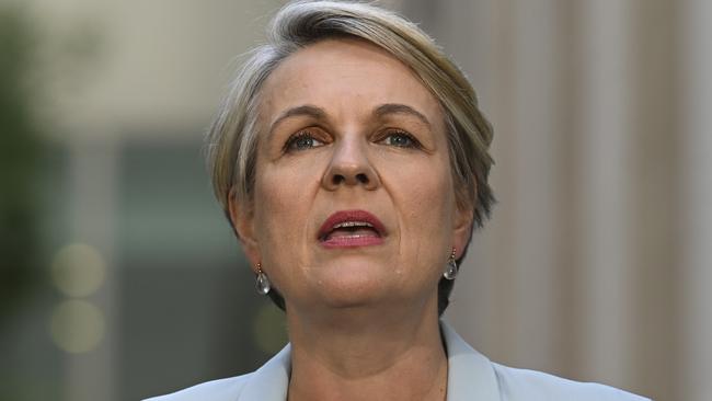 Environment Minister Tanya Plibersek. Picture: NCA NewsWire / Martin Ollman