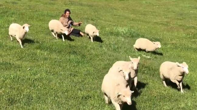 Tina Quinn and her rescued farm animals.