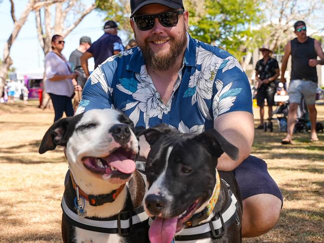 Dog owners warned as staffies declared coast’s most popular breed