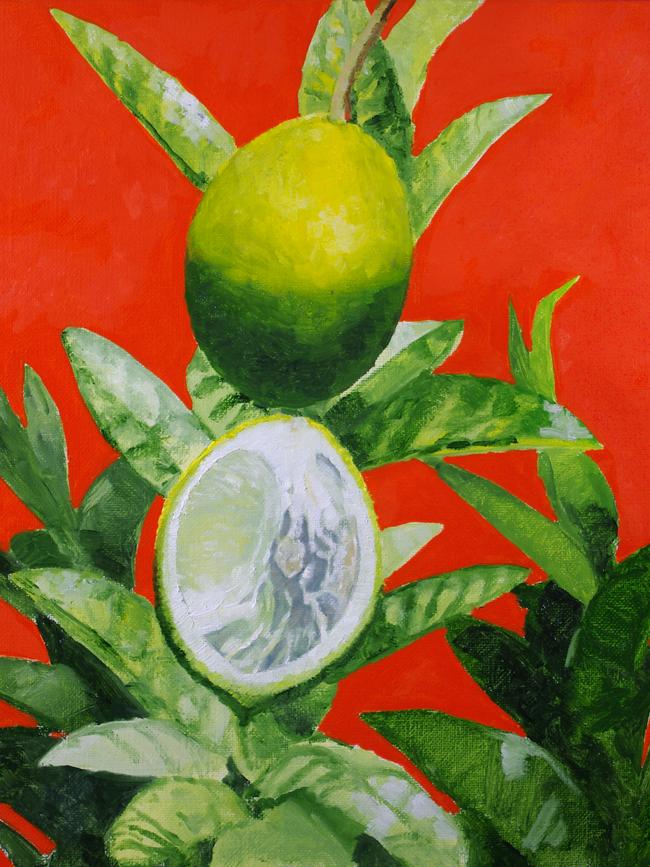 A cropped image of Alison Mitchell’s painting of fruit affected by citrus greening