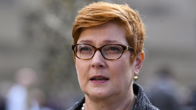 Foreign Minister Marise Payne says Australia was committed to working with PNG to achieve its development ambitions. Picture: AAP