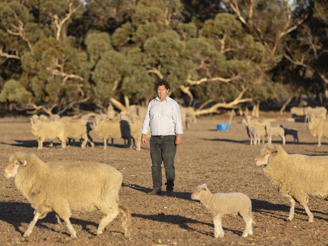 Merino sheep producer, Steven Bolt, on his farm in Corrigin where his lambs are destined for the live export market.