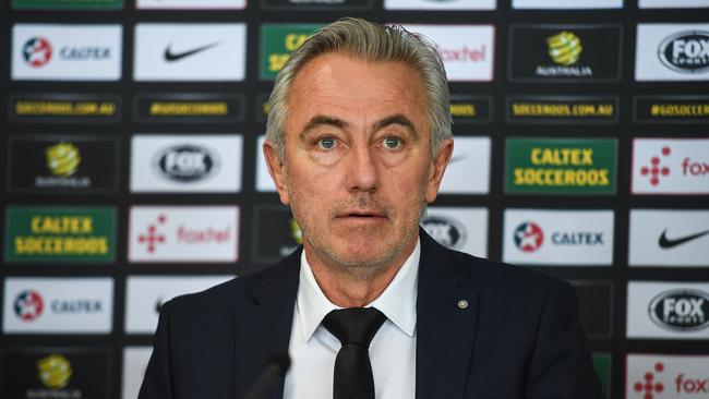 New Socceroo head coach Bert van Marwijk.