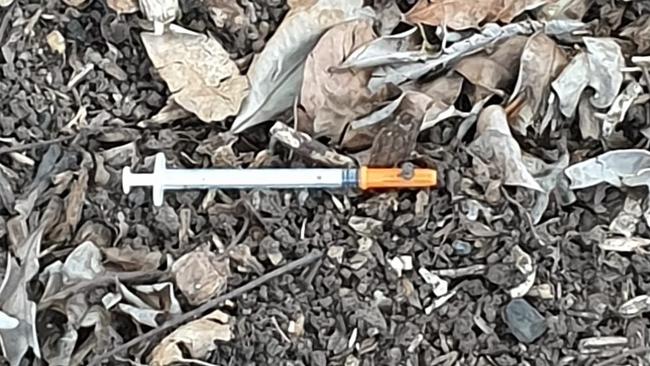 A syringe allegedly found at GJ Walter Park in Cleveland. Picture: Facebook