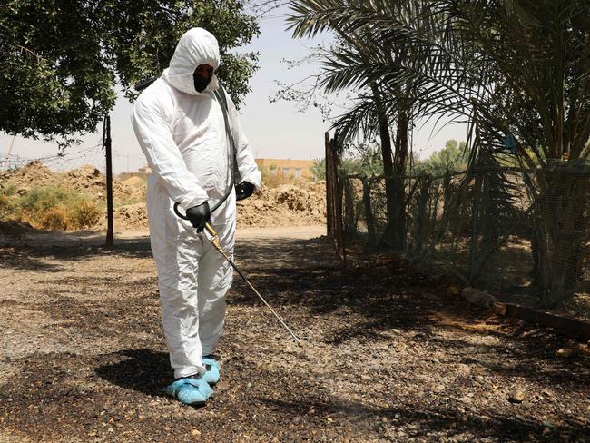 A worker disinfects the area around a house in Iraq's southern Dhi Qar province, where a woman was infected with the tick-borne virus Crimean-Congo haemorrhagic illness (CCHF). Picture: AFP