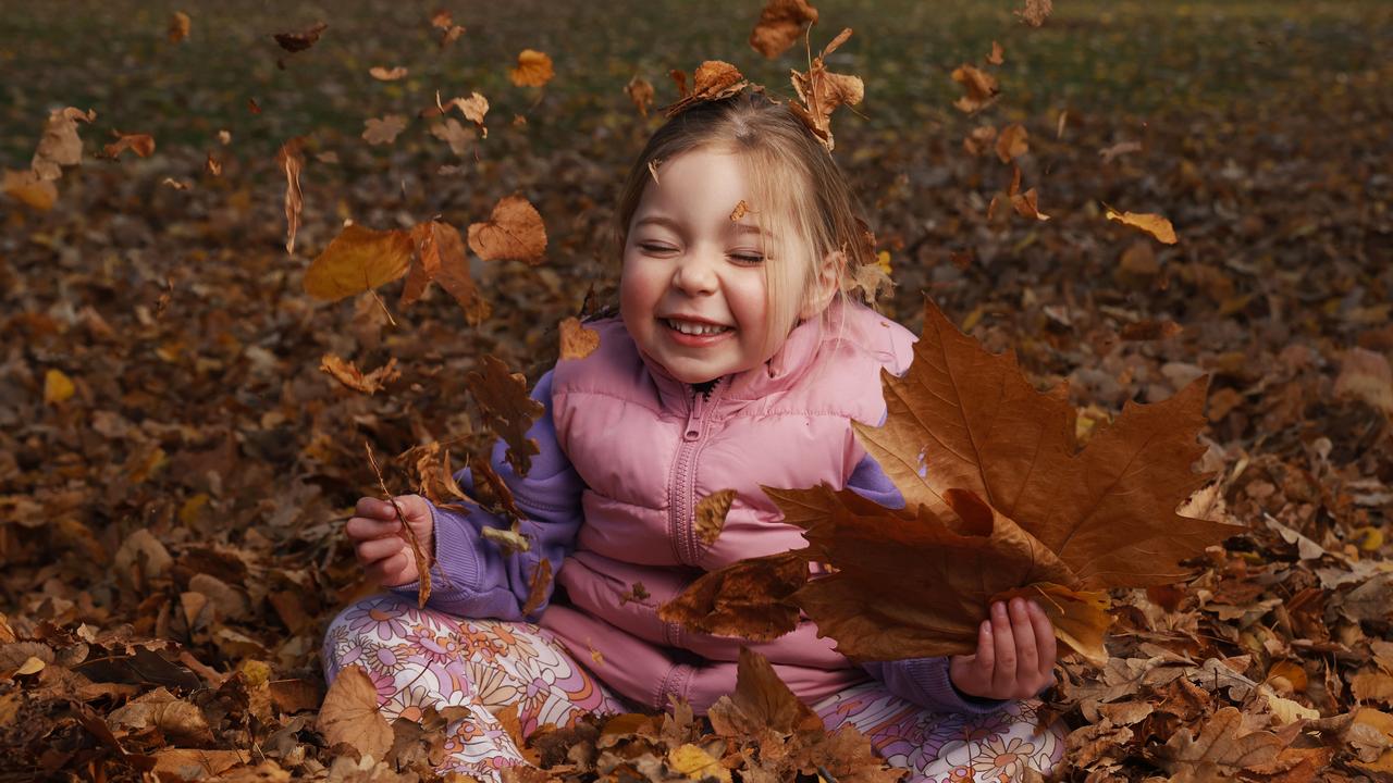 Macie Beedle 3 playing in the leaves at parliament lawns Hobart. Picture: Nikki Davis-Jones