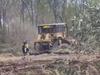 Lee Point development slapped with illegal clearing fine