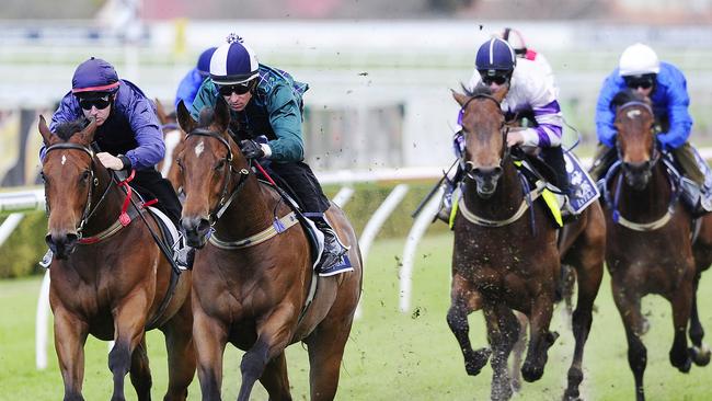 Gai Waterhouse relies on sheer weight of numbers to win fillies race ...