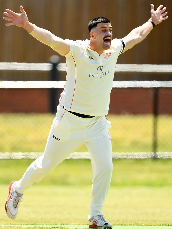 Jake Wood of Sorrento appeals unsuccessfully for a wicket. (Photo by Josh Chadwick)