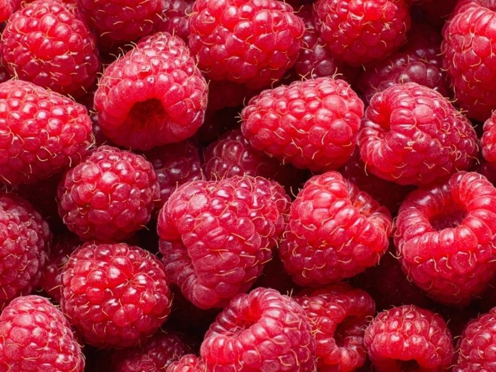 Raspberries are great for gut health.