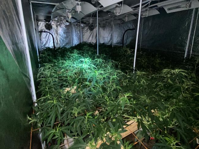 The grow rooms at Port Wakefield had 99 plants and a lot of problems. Picture: SAPOL