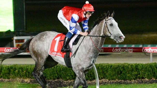 Berkshire Breeze (IRE) ridden by Ethan Brown wins the Melbourne Civil Group BM70 Handicap at Cranbourne Racecourse on May 03, 2024 in Cranbourne, Australia. (Photo by Ross Holburt/Racing Photos via Getty Images)