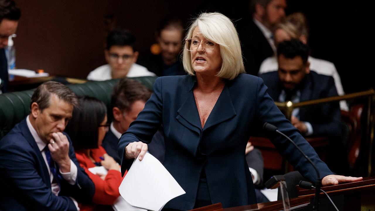 NSW Police Minister Yasmin Catley was also grilled over her position on Section 39. Picture: NewsWire / Nikki Short