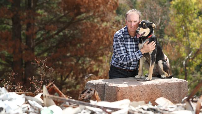 A Cudlee Creek family, who lost everything in the fires, has to rehome its dog Scout, a 12mth old Huntaway. John Hammersmith with his dog. PIC TAIT SCHMAAL.