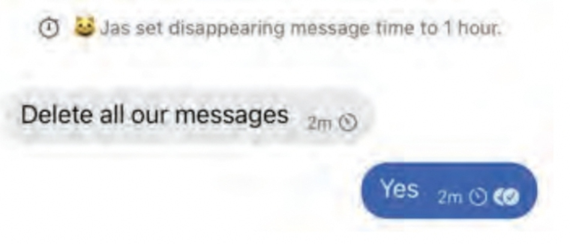 After learning of Perry’s death, ‘The Ketamine Queen’ of Los Angeles allegedly set her Signal app to delete messages. Picture: Supplied
