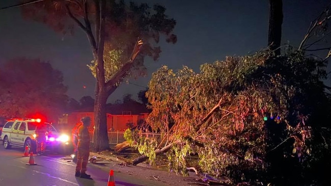 Trees blocked roads after the hailstorm on Monday afternoon. Picture: Facebook