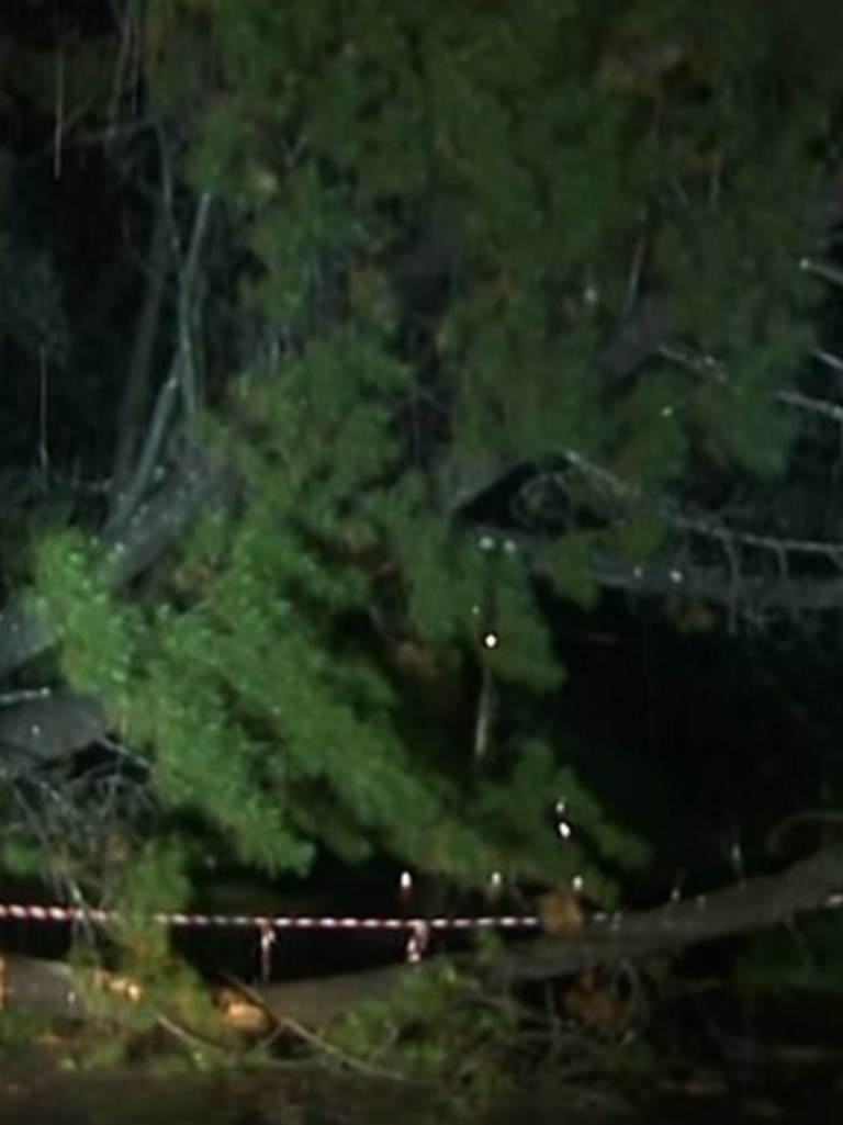 Hundreds of SES calls were made overnight as wild weather ripped up parts of Sydney and The Central Coast.