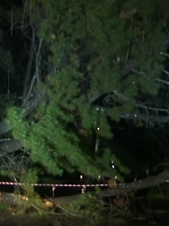 Hundreds of SES calls were made overnight as wild weather ripped up parts of Sydney and The Central Coast.