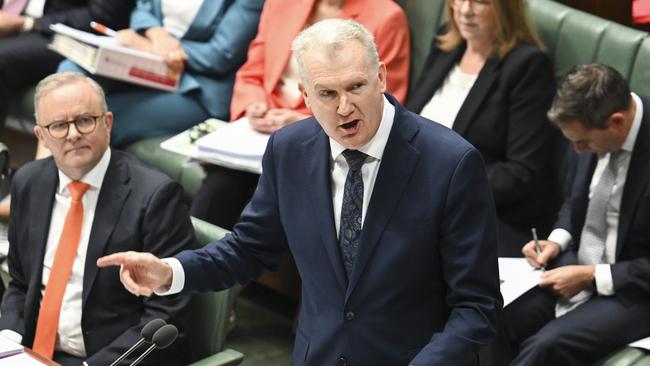 Home Affairs Minister Tony Burke said the government was prepared for the High Court’s decision. Picture: NewsWire/ Martin Ollman