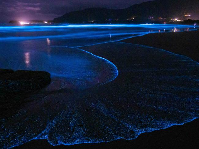 Bioluminescence event on Tasman Peninsula at the Tesselated Pavements on Christmas Day.  Picture: Robbie Moles***ONE TIME USE ONLY***