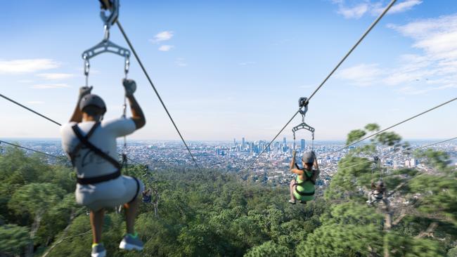 A projection of the views from the Mt Coot-tha zipline. Construction is expected to start within months.