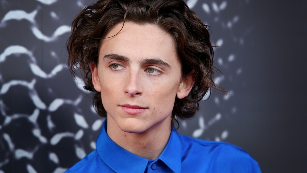Timothee Chalamet Is Not Hot, Like At All | Unpopular Opinion | body+soul