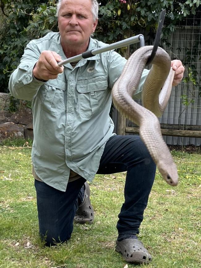 Rolly Burrell from Snake Catchers Adelaide with one of his largest snakes he has caught, this one a 2m eastern brown in Myponga in 2022. Picture: Facebook