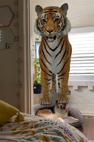 Featured image of post Augmented Reality Tiger 3D View Animation - Thankfully, google has enough 3d ar tigers to go.
