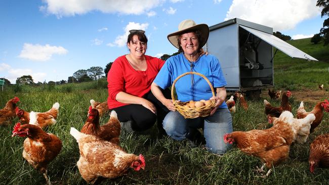 Katt Ferrero and Meredith Tiller of Tamar Valley Pastured Eggs. Picture: Chris Kidd