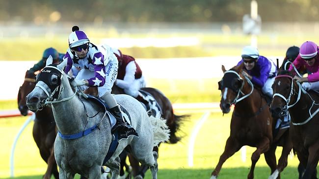 Ghostly grey Arinosa is the pick of the fresh horses in the Premiere Stakes.  