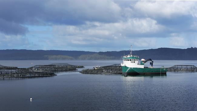 Tassal salmon pens, in Macquarie Harbour, Strahan, West Coast of Tasmania