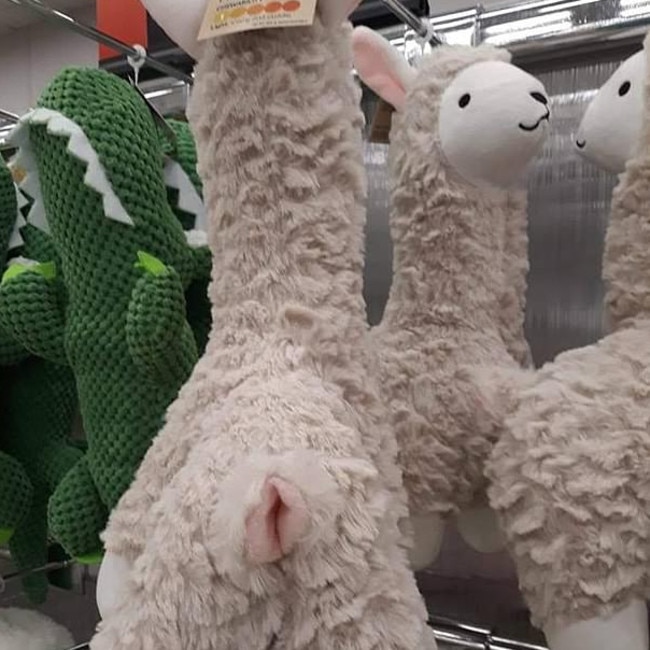 Kmart store dog toys