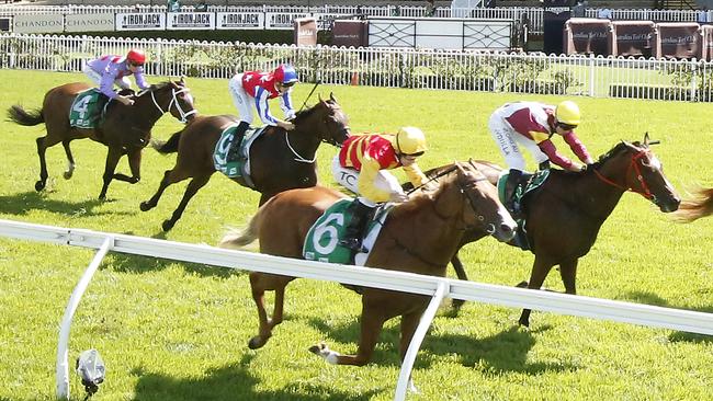 Marsannay (No.6) gets his chance for a win on the Kensignton track. Picture: Getty Images