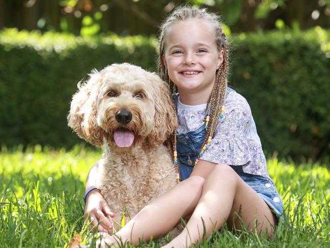 Daily Telegraph. 01, February, 2023.Letti Kortum, 8, with her Groodle, Rosie, at home, in Jannali, today.Owner Marina Kortum purchased Rosie in 2019 just before Covid for around $3,500.Now, you can buy them for as little as $500.Picture: Justin Lloyd.